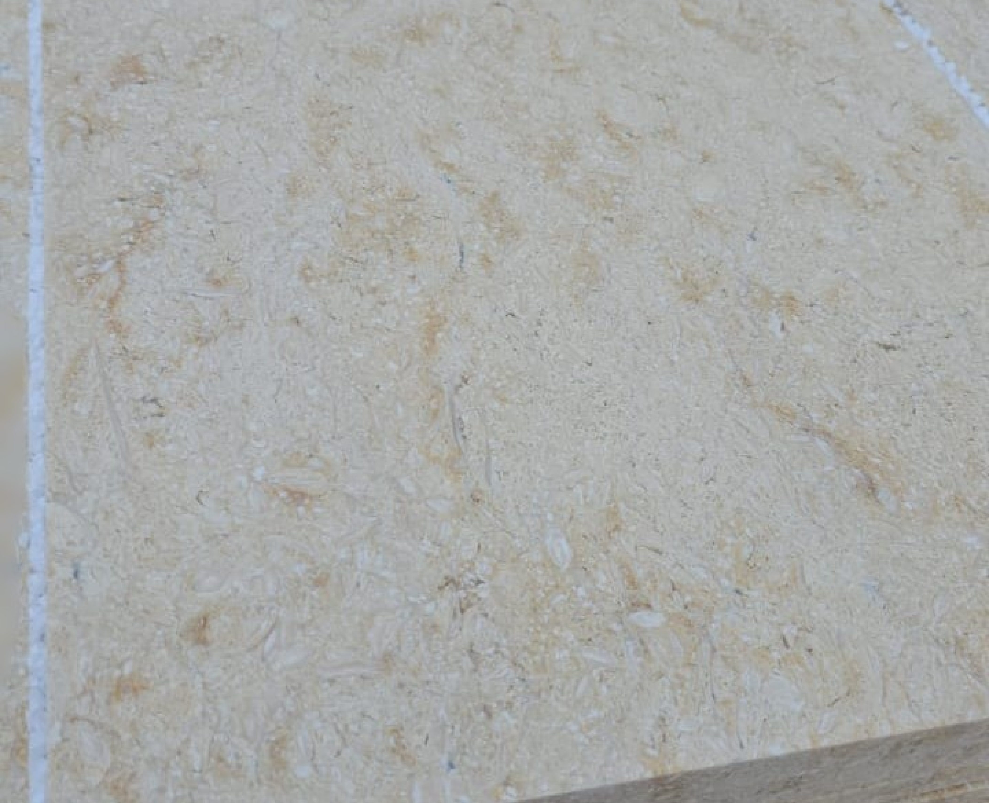 WhatsApp Image 2023-07-25 at 16.33.17 (2)